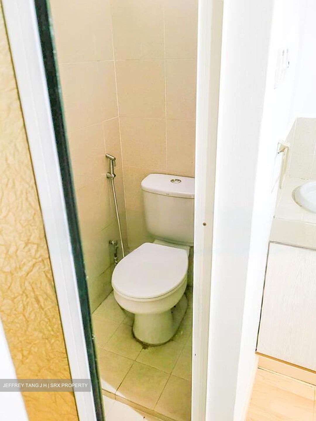 Pandan Valley (D21), Condominium #461829261